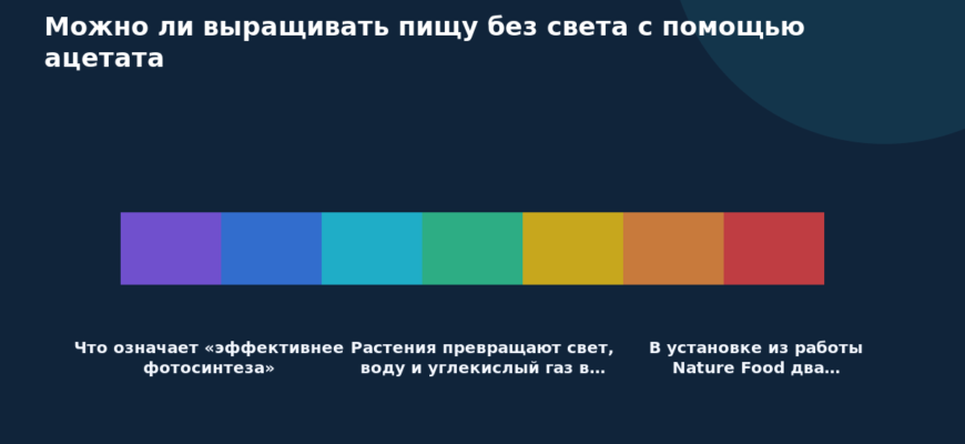 Схема к статье «Можно ли выращивать пищу без света с помощью ацетата»: Что означает «эффективнее фотосинтеза», Растения превращают свет, воду и углекислый газ в…, В установке из работы Nature Food два…