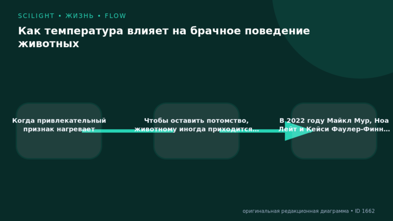 Схема к статье «Как температура влияет на брачное поведение животных»: Когда привлекательный признак нагревает, Чтобы оставить потомство, животному иногда приходится…, В 2022 году Майкл Мур, Ноа Лейт и Кейси Фаулер-Финн…
