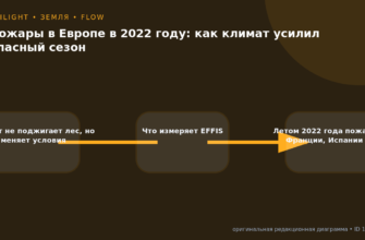 Схема к статье «Пожары в Европе в 2022 году: как климат усилил опасный сезон»: Климат не поджигает лес, но меняет условия, Что измеряет EFFIS, Летом 2022 года пожары во Франции, Испании и…