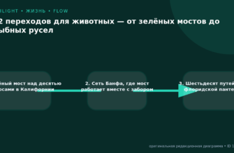 Схема к статье «12 переходов для животных — от зелёных мостов до рыбных русел»: 1. Зелёный мост над десятью полосами в Калифорнии, 2. Сеть Банфа, где мост работает вместе с забором, 3. Шестьдесят путей для флоридской пантеры