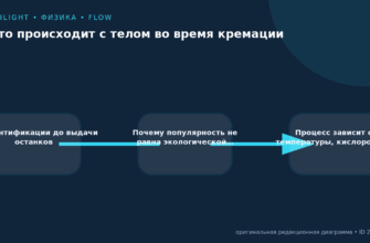 Схема к статье «Что происходит с телом во время кремации»: От идентификации до выдачи останков, Почему популярность не равна экологической…, Процесс зависит от температуры, кислорода и…