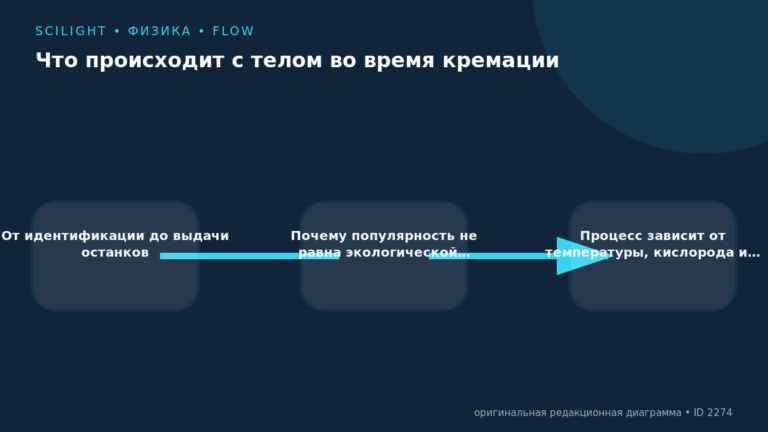 Схема к статье «Что происходит с телом во время кремации»: От идентификации до выдачи останков, Почему популярность не равна экологической…, Процесс зависит от температуры, кислорода и…
