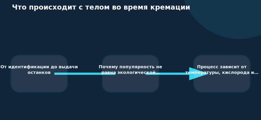 Схема к статье «Что происходит с телом во время кремации»: От идентификации до выдачи останков, Почему популярность не равна экологической…, Процесс зависит от температуры, кислорода и…