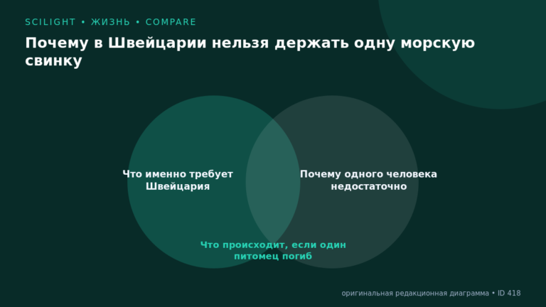 Схема к статье «Почему в Швейцарии нельзя держать одну морскую свинку»: Что именно требует Швейцария, Почему одного человека недостаточно, Что происходит, если один питомец погиб