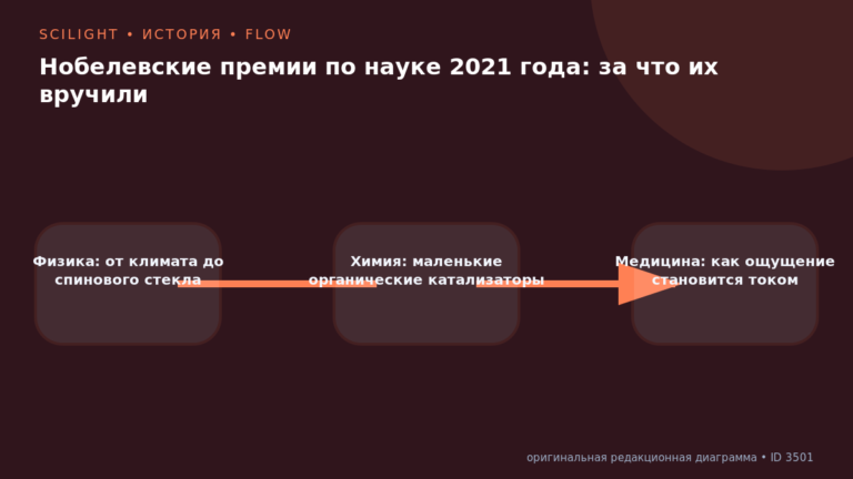 Схема к статье «Нобелевские премии по науке 2021 года: за что их вручили»: Физика: от климата до спинового стекла, Химия: маленькие органические катализаторы, Медицина: как ощущение становится током