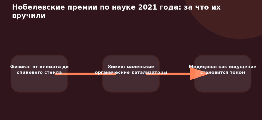 Схема к статье «Нобелевские премии по науке 2021 года: за что их вручили»: Физика: от климата до спинового стекла, Химия: маленькие органические катализаторы, Медицина: как ощущение становится током