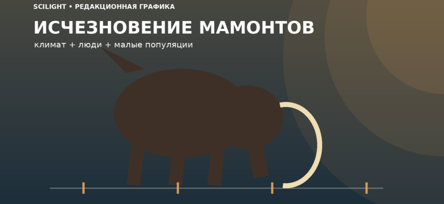Силуэт мамонта на временной линии сокращения среды обитания