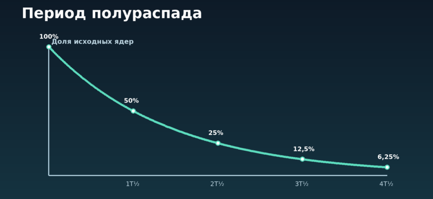 График уменьшения доли нестабильных ядер вдвое за каждый период полураспада