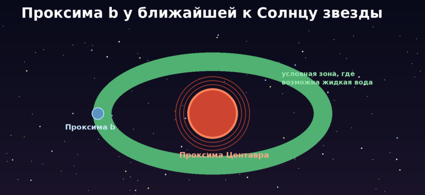 Условная схема орбиты Проксимы b вокруг красного карлика Проксима Центавра