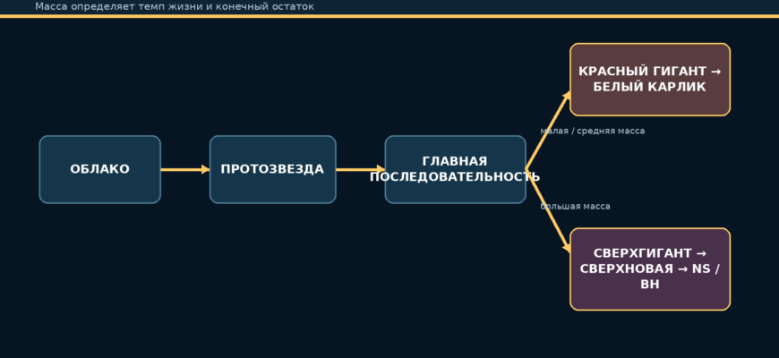 Разветвлённая схема жизненного цикла звёзд малой, солнечной и большой массы
