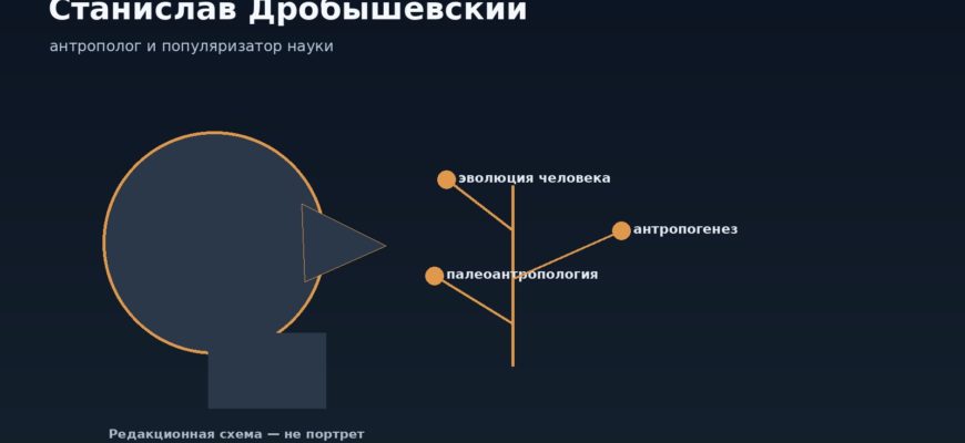Редакционная иллюстрация к статье о Станиславе Дробышевском: схематичный профиль и эволюционное древо