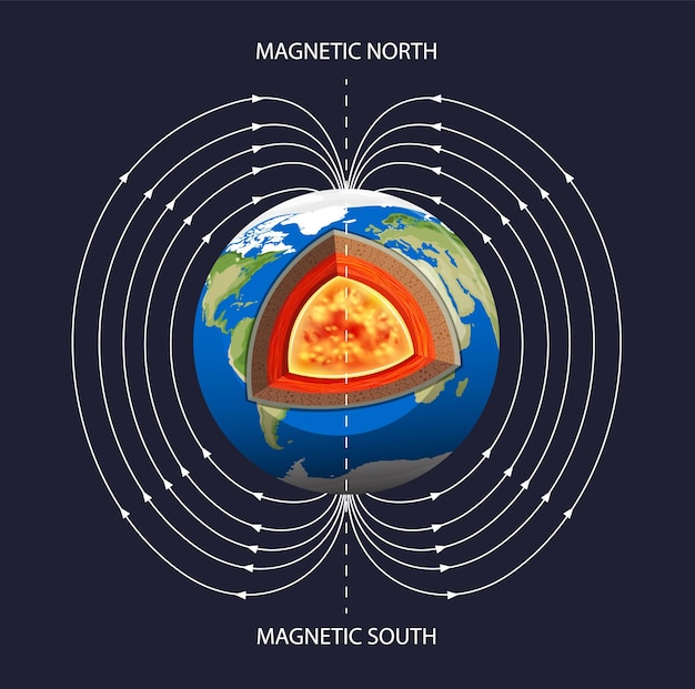 Влияние магнитного поля Земли на живые существа