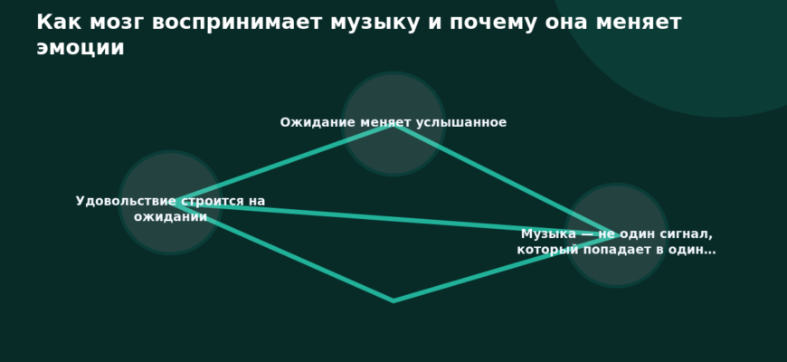 Схема к статье «Как мозг воспринимает музыку и почему она меняет эмоции»: Удовольствие строится на ожидании, Ожидание меняет услышанное, Музыка — не один сигнал, который попадает в один…