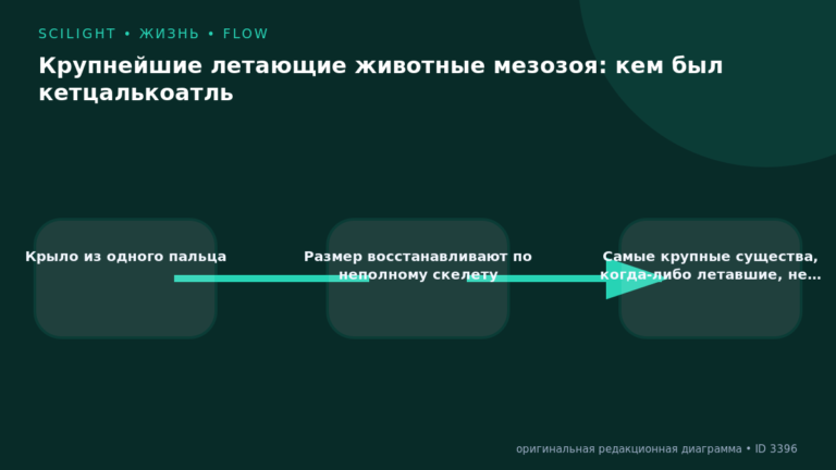 Схема к статье «Крупнейшие летающие животные мезозоя: кем был кетцалькоатль»: Крыло из одного пальца, Размер восстанавливают по неполному скелету, Самые крупные существа, когда-либо летавшие, не…