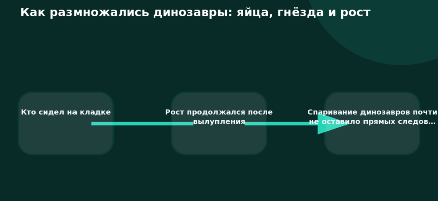 Схема к статье «Как размножались динозавры: яйца, гнёзда и рост»: Кто сидел на кладке, Рост продолжался после вылупления, Спаривание динозавров почти не оставило прямых следов…