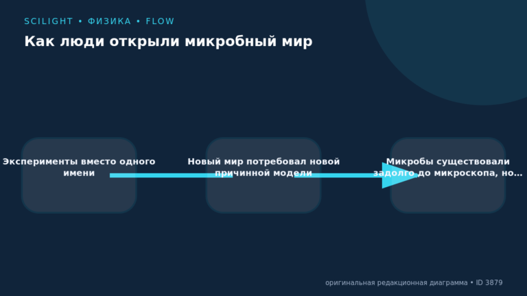 Схема к статье «Как люди открыли микробный мир»: Эксперименты вместо одного имени, Новый мир потребовал новой причинной модели, Микробы существовали задолго до микроскопа, но…