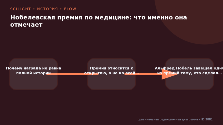 Схема к статье «Нобелевская премия по медицине: что именно она отмечает»: Почему награда не равна полной истории, Премия относится к открытию, а не ко всей…, Альфред Нобель завещал одну из премий тому, кто сделал…