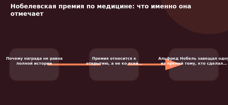 Схема к статье «Нобелевская премия по медицине: что именно она отмечает»: Почему награда не равна полной истории, Премия относится к открытию, а не ко всей…, Альфред Нобель завещал одну из премий тому, кто сделал…