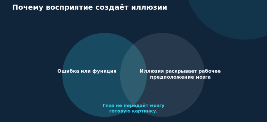 Схема к статье «Почему восприятие создаёт иллюзии»: Ошибка или функция, Иллюзия раскрывает рабочее предположение мозга, Глаз не передаёт мозгу готовую картинку.