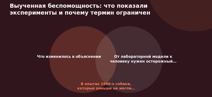 Схема к статье «Выученная беспомощность: что показали эксперименты и почему термин ограничен»: Что изменилось в объяснении, От лабораторной модели к человеку нужен осторожный…, В опытах 1960-х собаки, которые раньше не могли…