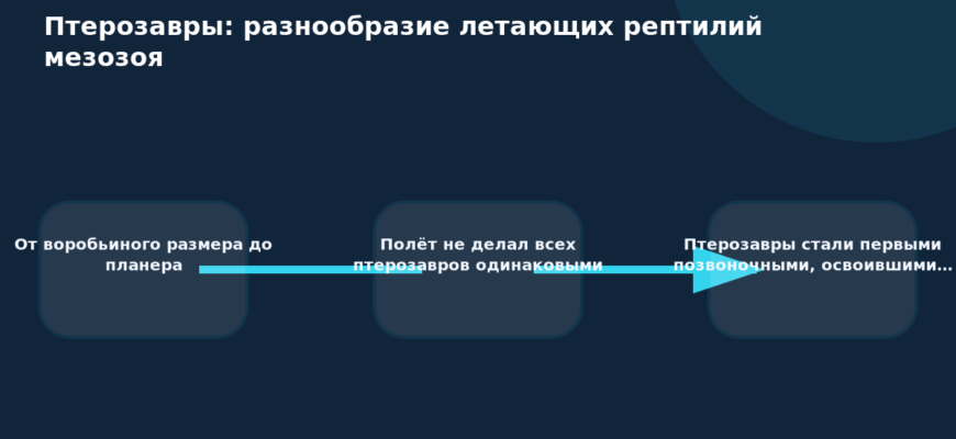 Схема к статье «Птерозавры: разнообразие летающих рептилий мезозоя»: От воробьиного размера до планера, Полёт не делал всех птерозавров одинаковыми, Птерозавры стали первыми позвоночными, освоившими…