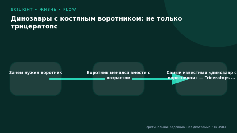 Схема к статье «Динозавры с костяным воротником: не только трицератопс»: Зачем нужен воротник, Воротник менялся вместе с возрастом, Самый известный «динозавр с воротником» — Triceratops …