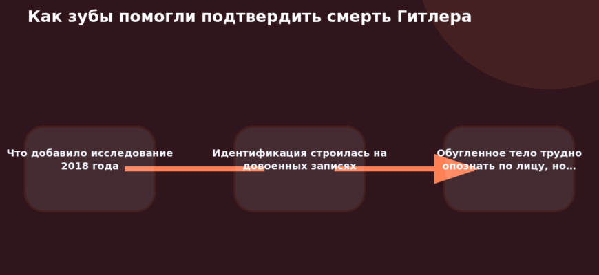 Схема к статье «Как зубы помогли подтвердить смерть Гитлера»: Что добавило исследование 2018 года, Идентификация строилась на довоенных записях, Обугленное тело трудно опознать по лицу, но…