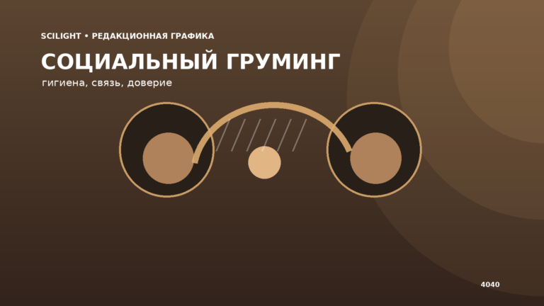 Две обезьяны во время социального груминга