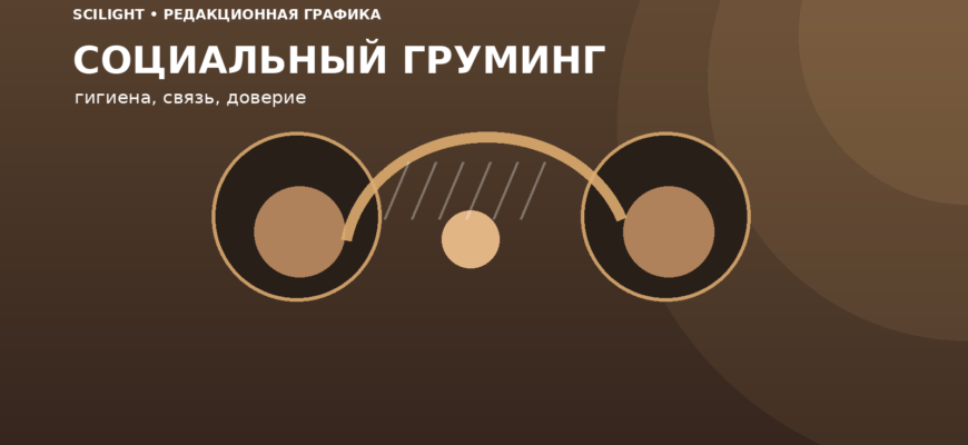 Две обезьяны во время социального груминга