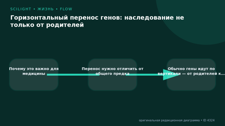 Схема к статье «Горизонтальный перенос генов: наследование не только от родителей»: Почему это важно для медицины, Перенос нужно отличить от общего предка, Обычно гены идут по вертикали — от родителей к…
