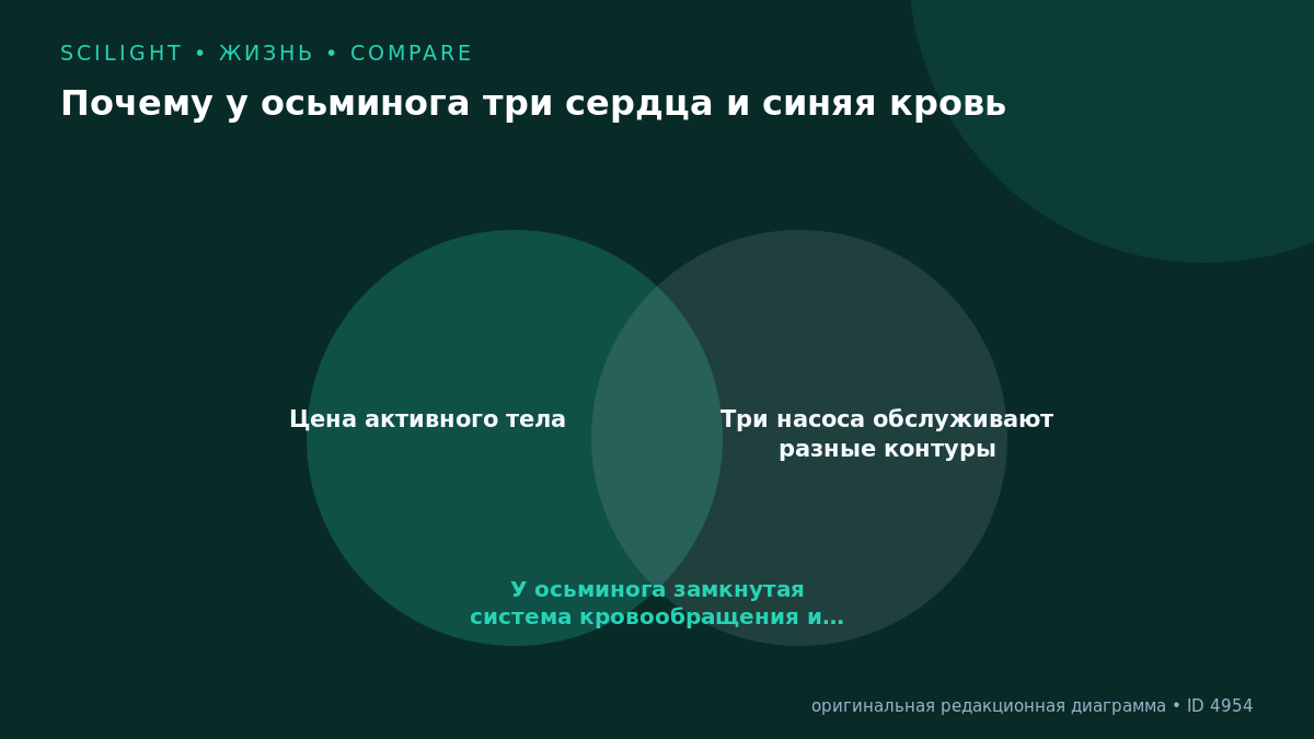 Диаграмма Венна о трёх сердцах, замкнутом кровообращении и гемоцианине осьминога