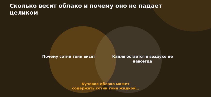 Схема к статье «Сколько весит облако и почему оно не падает целиком»: Почему сотни тонн висят, Капля остаётся в воздухе не навсегда, Кучевое облако может содержать сотни тонн жидкой…