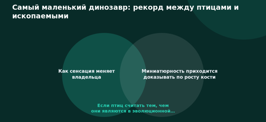 Схема к статье «Самый маленький динозавр: рекорд между птицами и ископаемыми»: Как сенсация меняет владельца, Миниатюрность приходится доказывать по росту кости, Если птиц считать тем, чем они являются в эволюционной…
