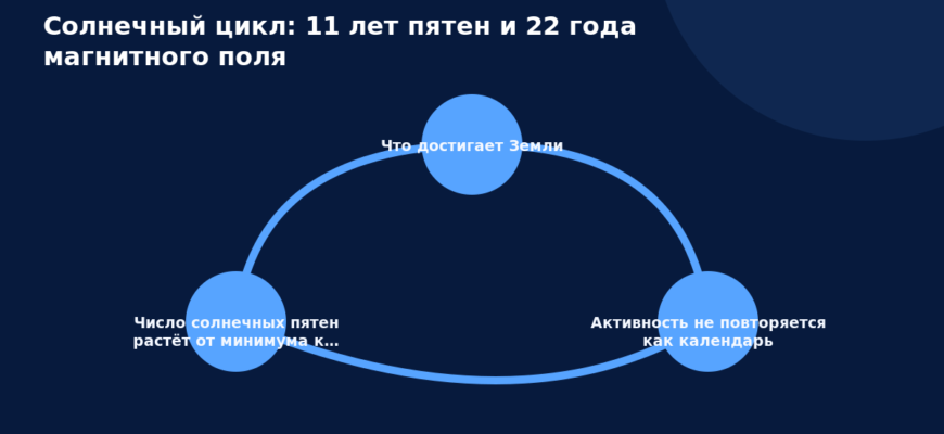 Схема к статье «Солнечный цикл: 11 лет пятен и 22 года магнитного поля»: Что достигает Земли, Активность не повторяется как календарь, Число солнечных пятен растёт от минимума к…